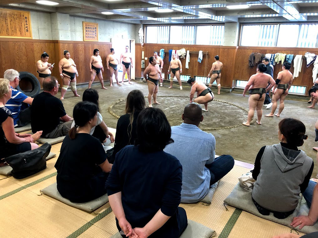 Sumo